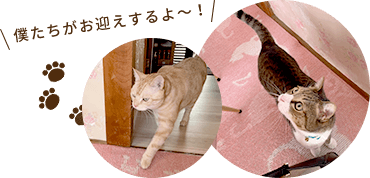 僕たちがお迎えするよ~!
